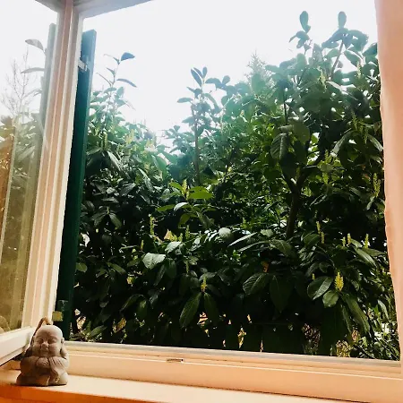 ***lieblingsraum 2zi.-boutiquewohnung***